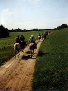 Wanderritt Michaelnbach - Gallspach